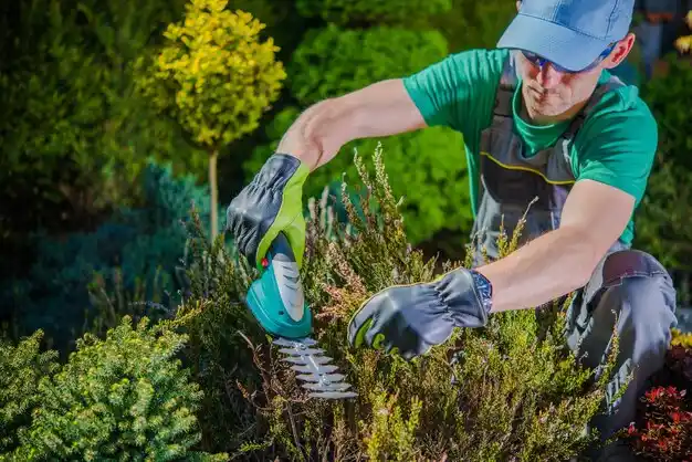landscaping services Wausa